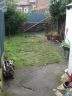 garden-before.jpg