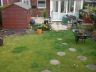 Lawn area before