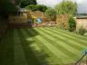 View up the garden