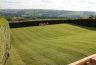 Turf-lawn.jpg