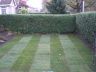 New lawn nice and stripey