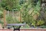 arch trellis sheffield
