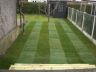 New stripey lawn turf