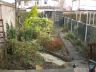 Garden before