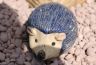 hedgehog