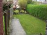 New turf lawn