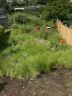 Garden starting to be stripped