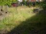 Garden before