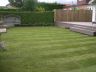 sheffield-lawn.jpg