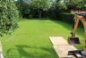 Garden before
