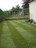 newly laid turf lawn